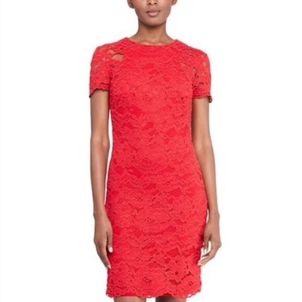 Lauren Ralph Lauren Petite Lace Short-Sleeve Scalloped Hem Sheath Dress 4p Nwt